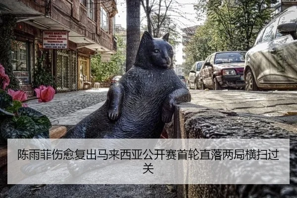 chen-yu-fei-shang-yu-fu-chu-ma-lai-xi-ya-gong-kai-sai-shou-lun-zhi-luo-liang-ju-heng-sao-guo-guan-2-175.jpg