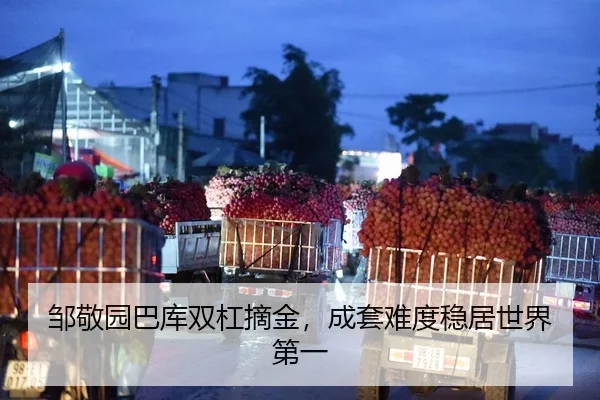 邹敬园巴库双杠摘金，成套难度稳居世界第一