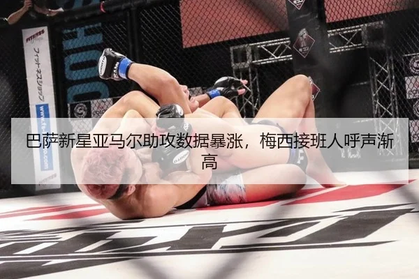 ba-sa-xin-xing-ya-ma-er-zhu-gong-shu-ju-bao-zhang-mei-xi-jie-ban-ren-hu-sheng-jian-gao-3-716.jpg