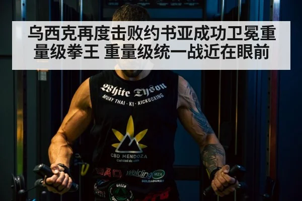 Tyson Fury boxing